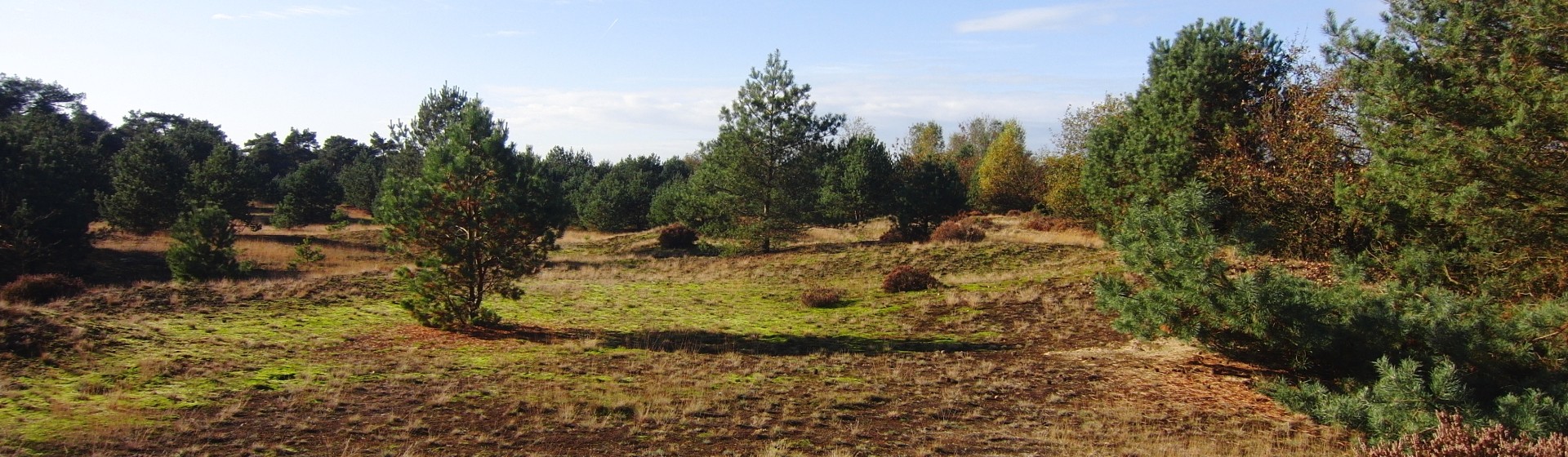 caitwiycerzand  2 017.jpg