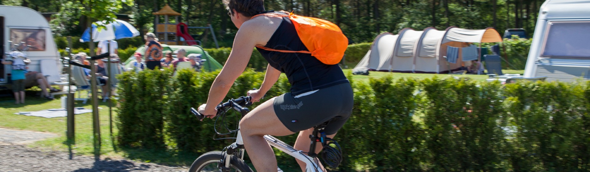 Fiets.jpg