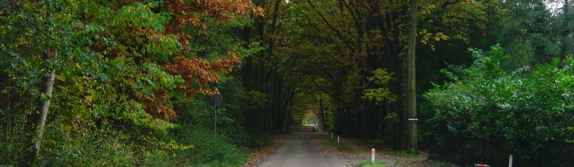 caitwiycerzand  2 008.jpg